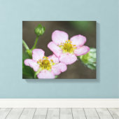 初期の芽ドッグウッド春 キャンバスプリント (インサイチュ (ウッドフロア))