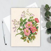 初期の野生のバラ、ペンステモンヒゲ – タン(1868) ポストカード