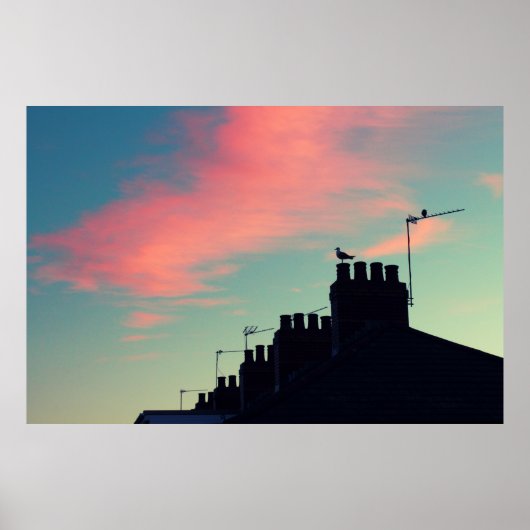 初期の鳥 ポスター (正面)