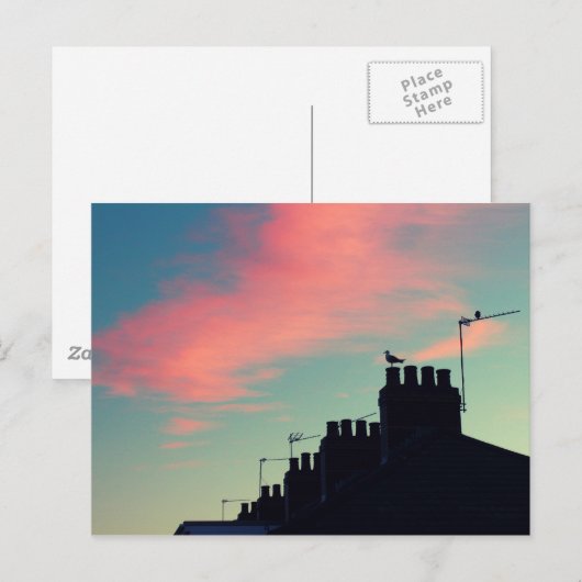 初期の鳥 ポストカード (正面/裏面)