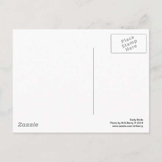 初期の鳥 ポストカード (裏面)