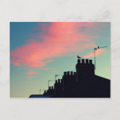 初期の鳥 ポストカード (正面)