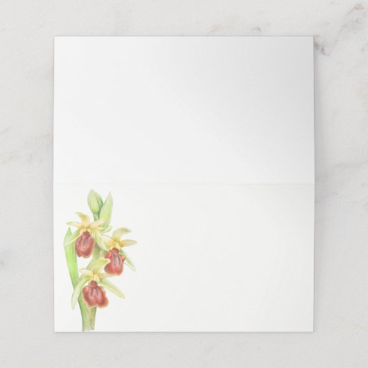 初期スパイダーオーキッド水の色のゲスト座席表 プレイスカード (外部開封)