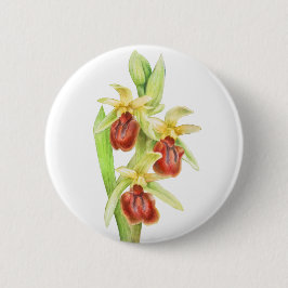 初期スパイダーオーキッド水の色アートボタンバッジ 缶バッジ