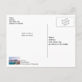 初期ナバラビーチフロリ考えるダ魚釣りのU ポストカード (裏面)