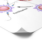 初期人間開発ポスター ポスター (角)