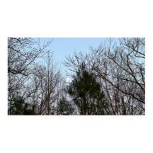 初期夕べムーン