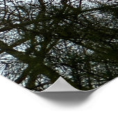 初期夕べムーン ポスター (角)