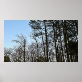 初期夕べムーン ポスター