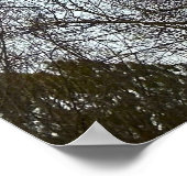 初期夕べムーン ポスター (角)