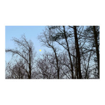 初期夕べムーン