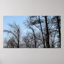 初期夕べムーン ポスター