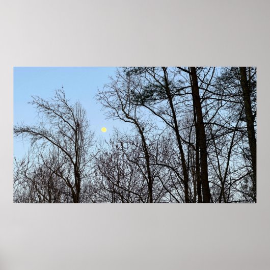 初期夕べムーン ポスター (正面)