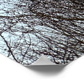 初期夕べムーン ポスター (角)