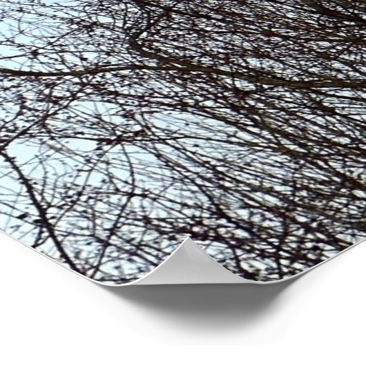 初期夕べムーン ポスター (角)