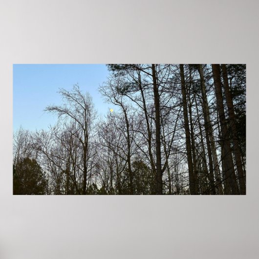 初期夕べムーン ポスター (正面)