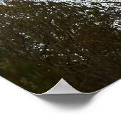 初期夕べムーン ポスター (角)