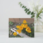 初期春の花 ポストカード (スタンド正面)