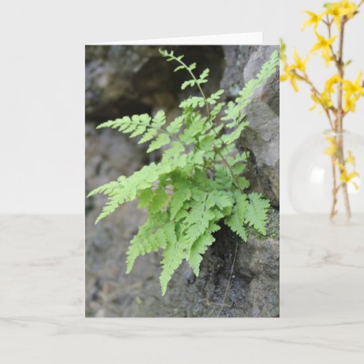 初期春シダ カード (黄色い花)