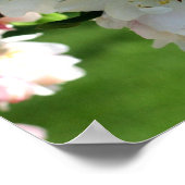 初期春フラワーアップル花2 ポスター (角)