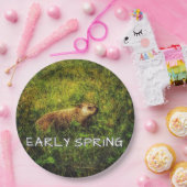 初期春プレート ペーパープレート (パーティー)