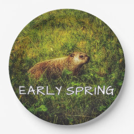 初期春プレート ペーパープレート