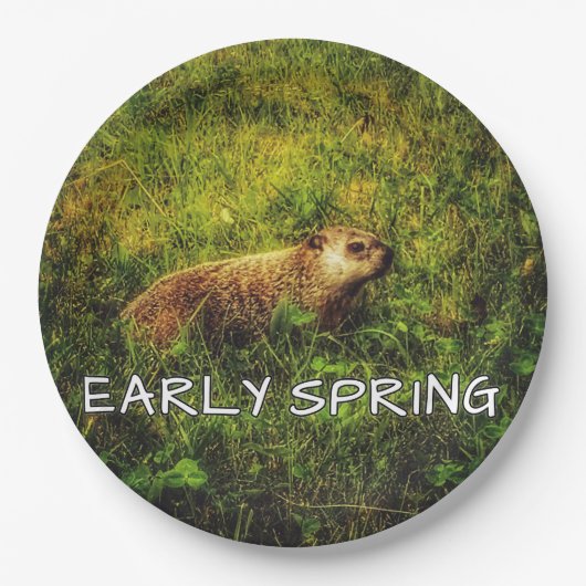 初期春プレート ペーパープレート (正面)