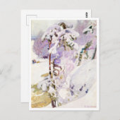 初期春ペッカハロネン ポストカード (正面/裏面)