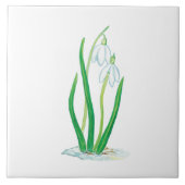 初期春雪 タイル (正面)