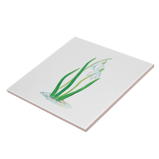 初期春雪 タイル (側面)