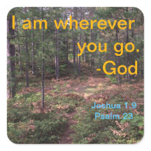 初期秋の北林道