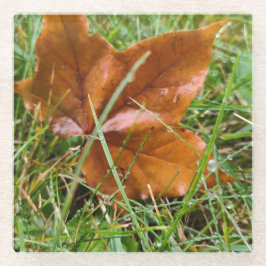 初期秋 ガラスコースター