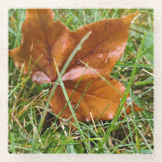 初期秋 ガラスコースター (正面)