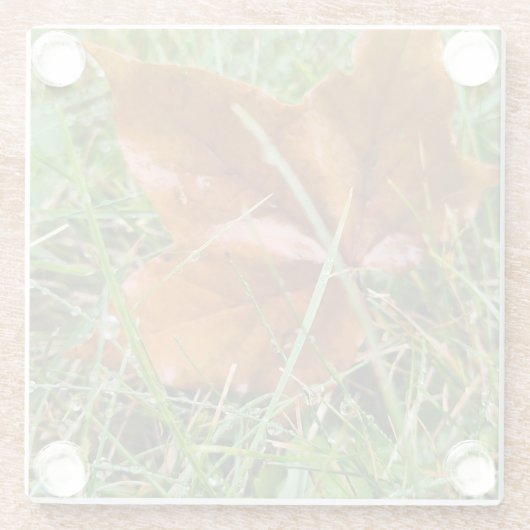 初期秋 ガラスコースター (裏面)