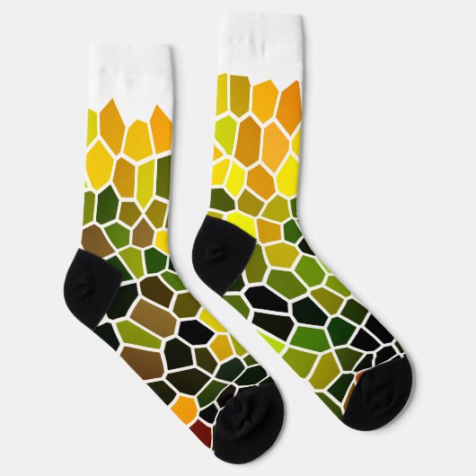 初期秋 ソックス (右)