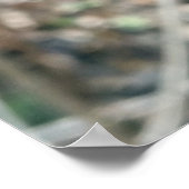 初期芽 ポスター (角)