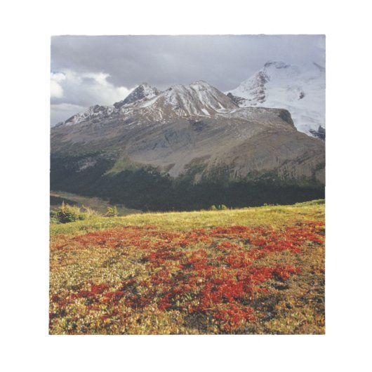 初秋のアサバスカのピークの中のアベルベリー ノートパッド (正面)