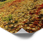 初秋のアサバスカのピークの中のアベルベリー ポスター (角)