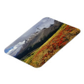 初秋のアサバスカのピークの中のアベルベリー マグネット (左側)