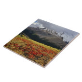 初秋のベアベリーアタバスカ山 タイル (側面)