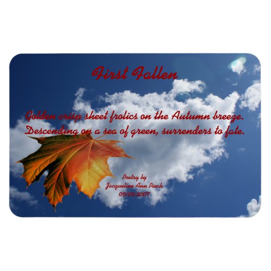 初秋落ちた磁石 マグネット (横)