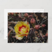 初花 ポストカード (正面/裏面)