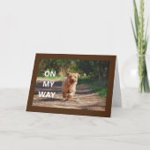 **初誕生日おめでとうございます"特別ベビーカード カード (正面)