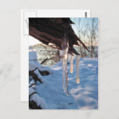 初雪の嵐の後の寒い冬のつらら ポストカード (正面/裏面)