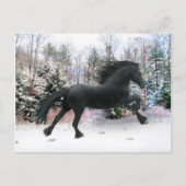 「初雪走」 ポストカード (正面)