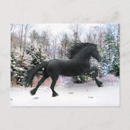 「初雪走」 ポストカード (正面)