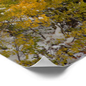 初雪 ポスター (角)