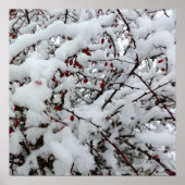 初雪 ポスター (正面)