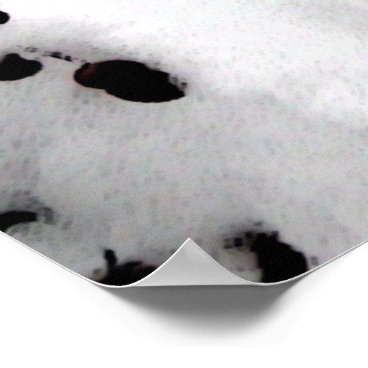 初雪 ポスター (角)