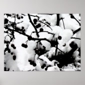 初雪 ポスター (正面)